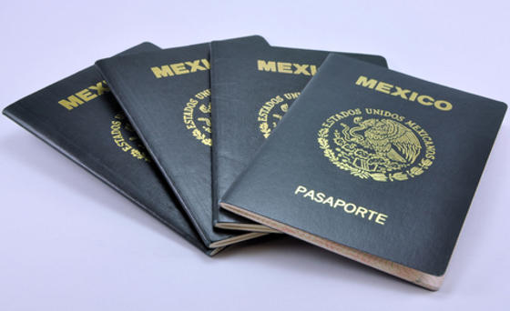 Immigration Services: Permanent & Temporary Residency, Work Visas - Expat  Services Vallarta